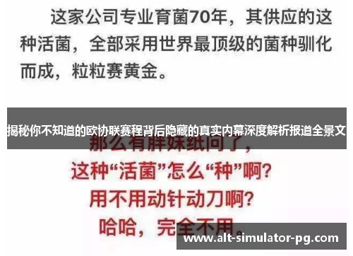 揭秘你不知道的欧协联赛程背后隐藏的真实内幕深度解析报道全景文